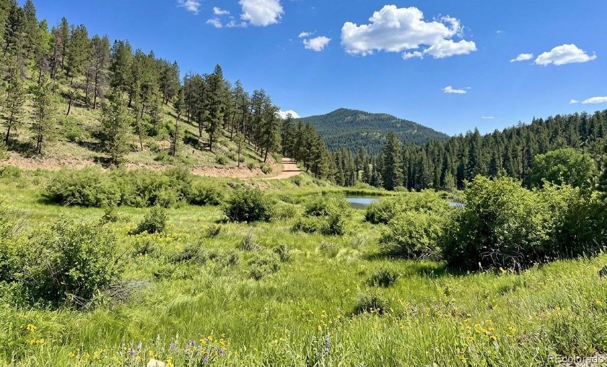 MLS Image #29 for 12447 s danny avenue,pine, Colorado