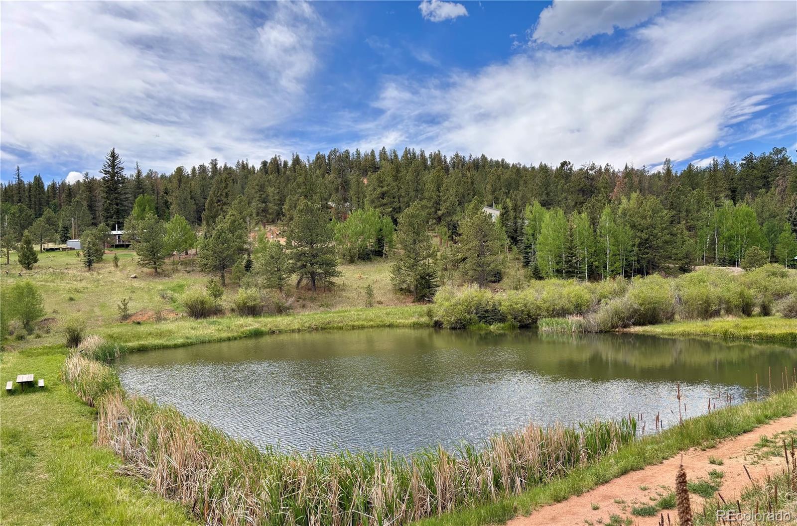 MLS Image #32 for 12447 s danny avenue,pine, Colorado