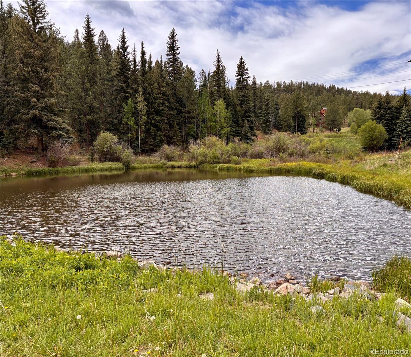MLS Image #33 for 12447 s danny avenue,pine, Colorado