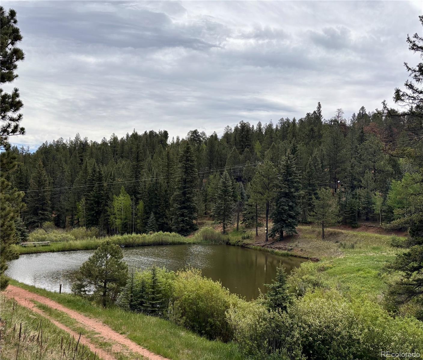 MLS Image #34 for 12447 s danny avenue,pine, Colorado