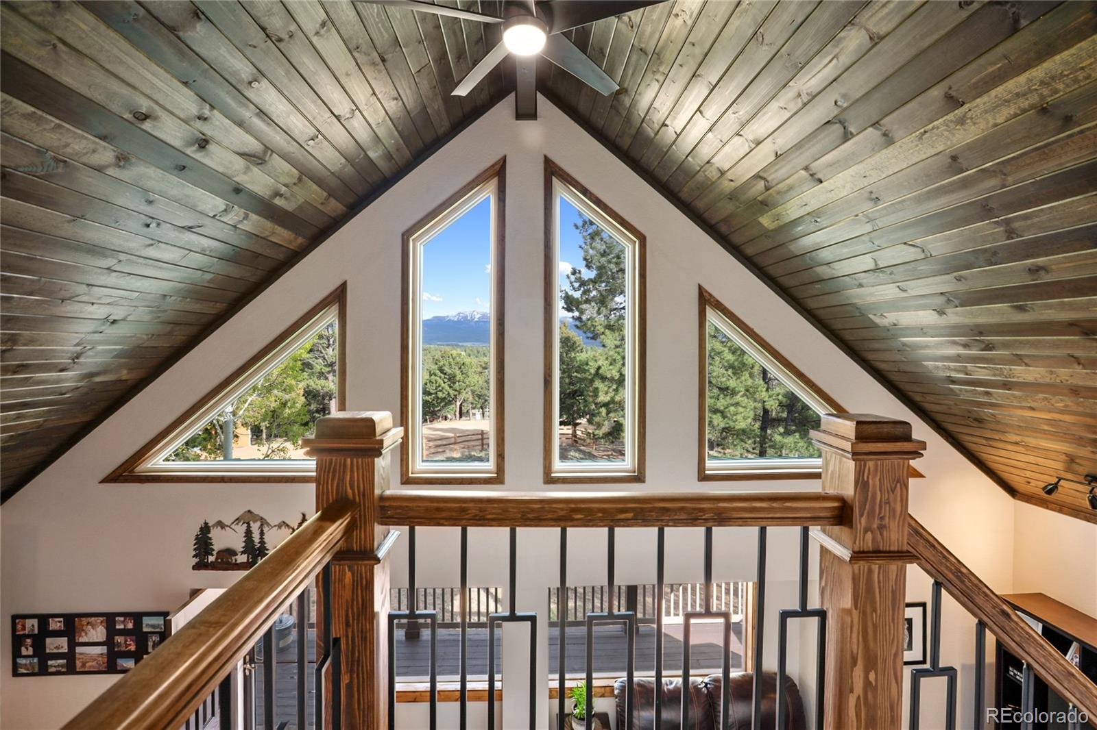 MLS Image #10 for 45  barr lake circle,divide, Colorado