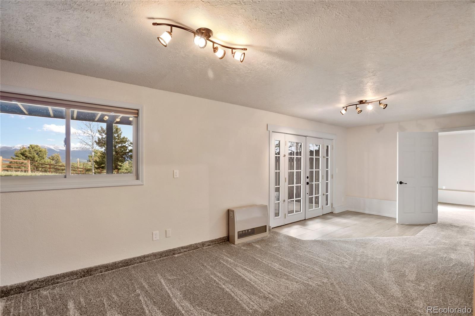 MLS Image #33 for 45  barr lake circle,divide, Colorado