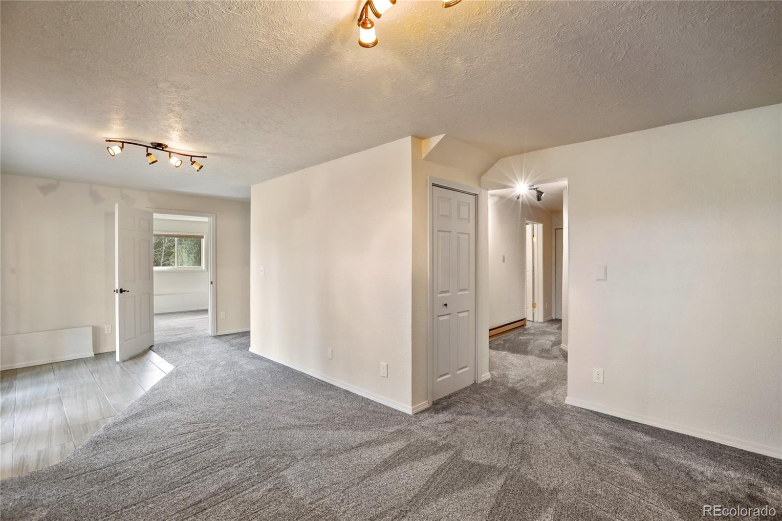 MLS Image #34 for 45  barr lake circle,divide, Colorado