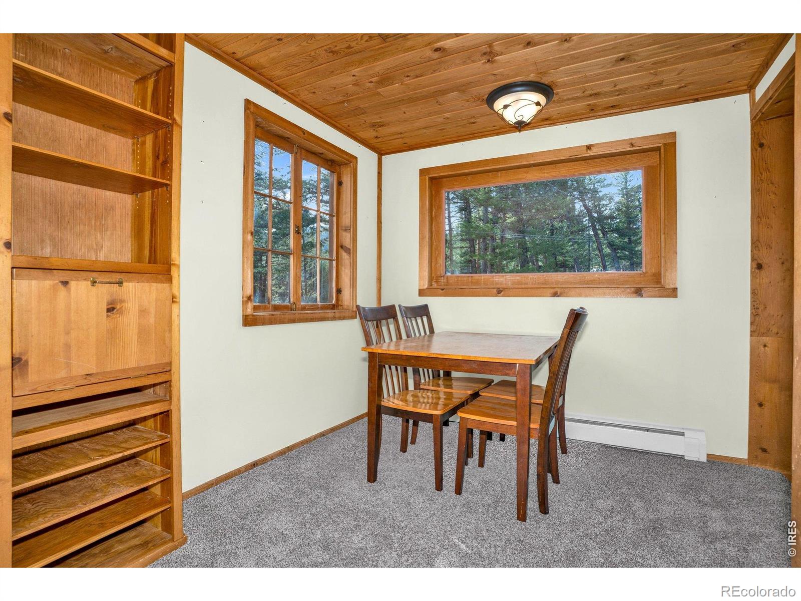 MLS Image #11 for 251  haugen slide road,allenspark, Colorado