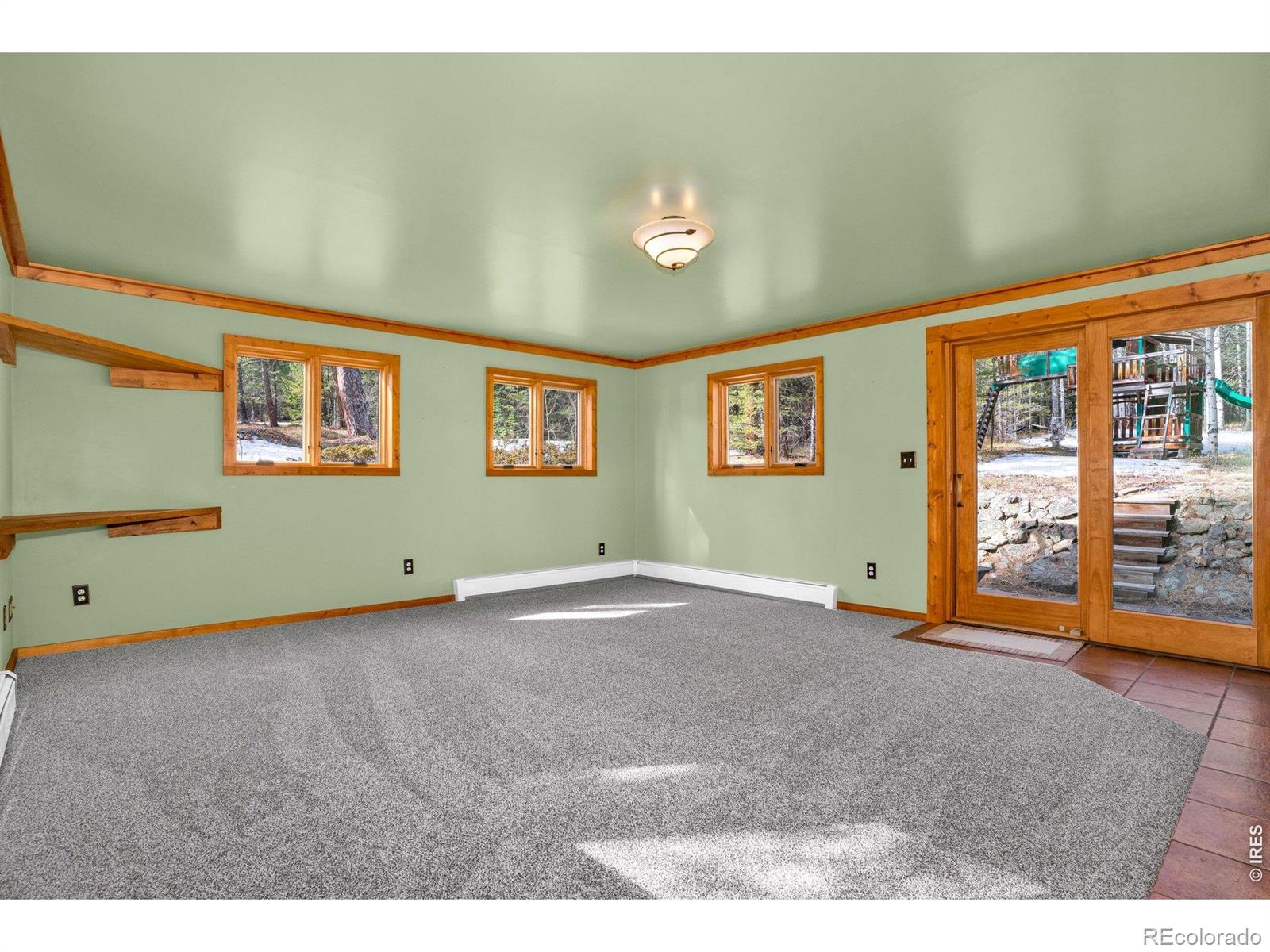 MLS Image #16 for 251  haugen slide road,allenspark, Colorado
