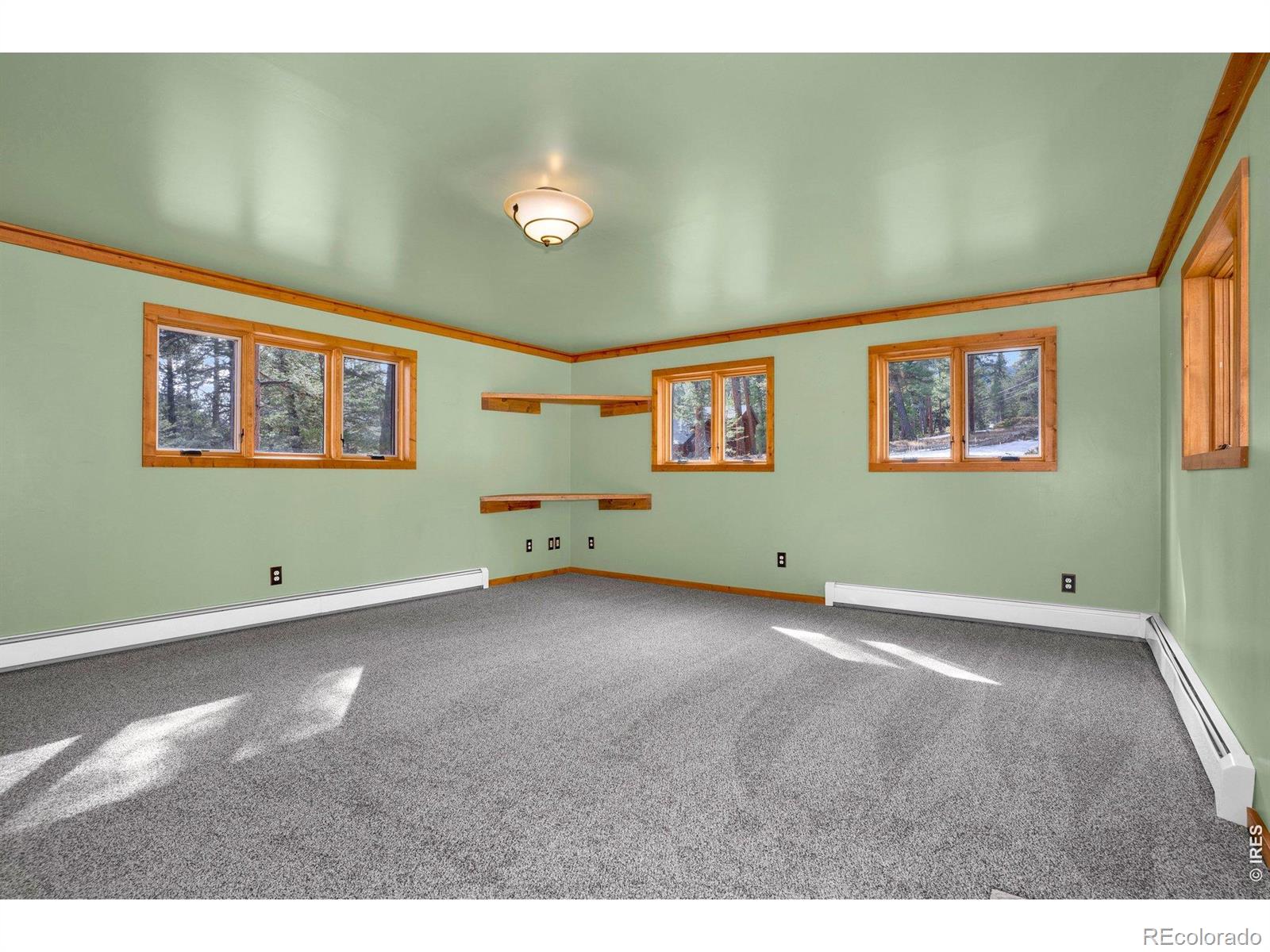 MLS Image #17 for 251  haugen slide road,allenspark, Colorado