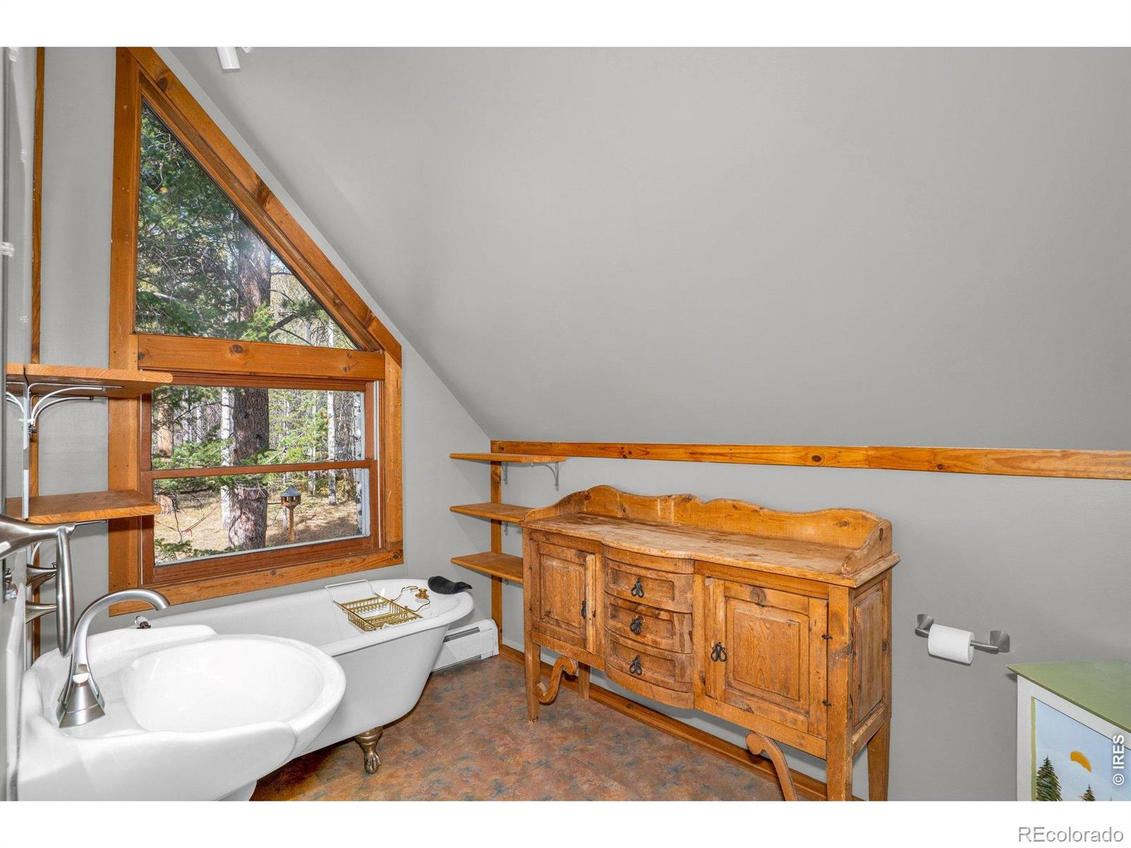 MLS Image #20 for 251  haugen slide road,allenspark, Colorado