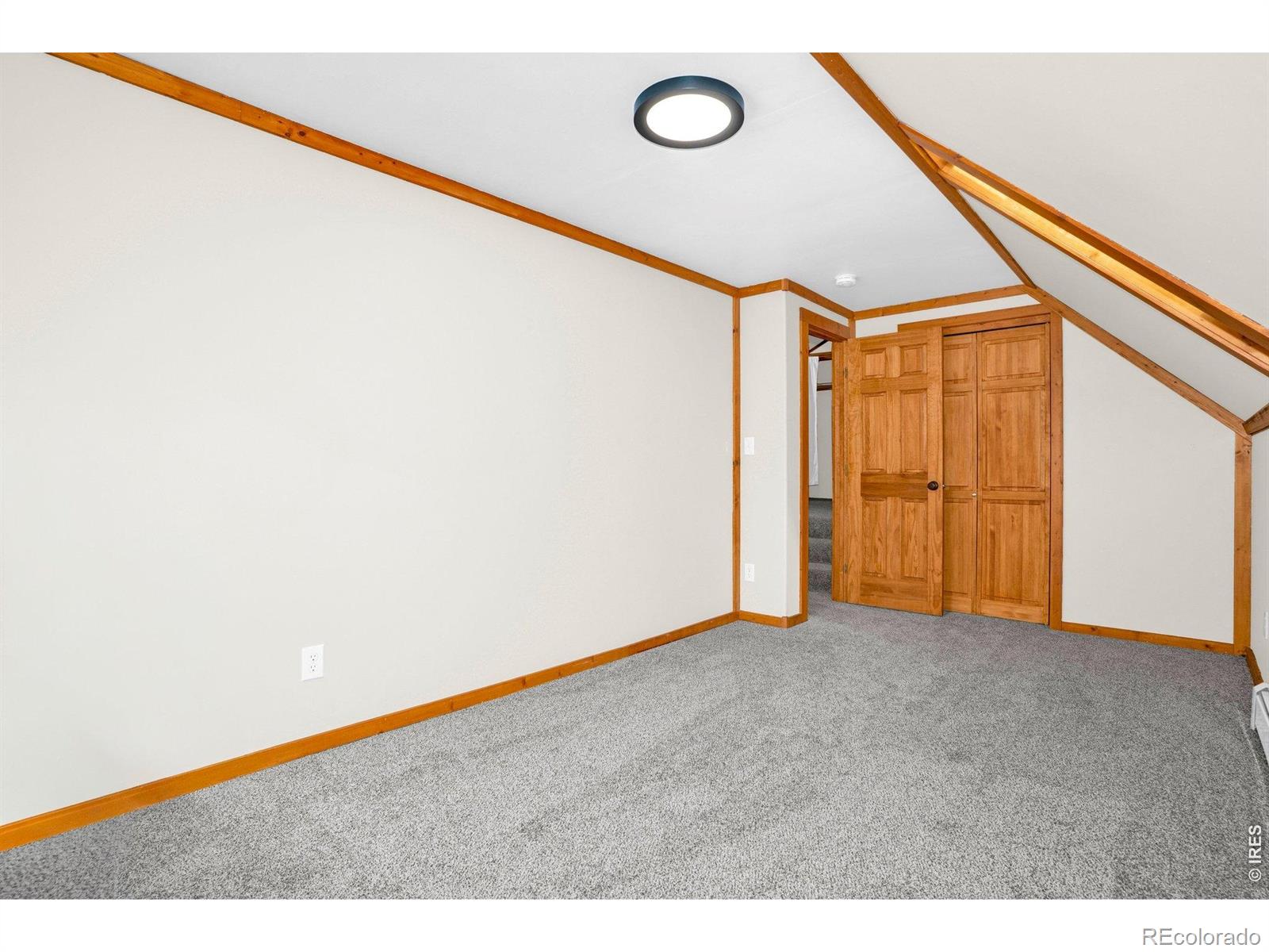 MLS Image #22 for 251  haugen slide road,allenspark, Colorado