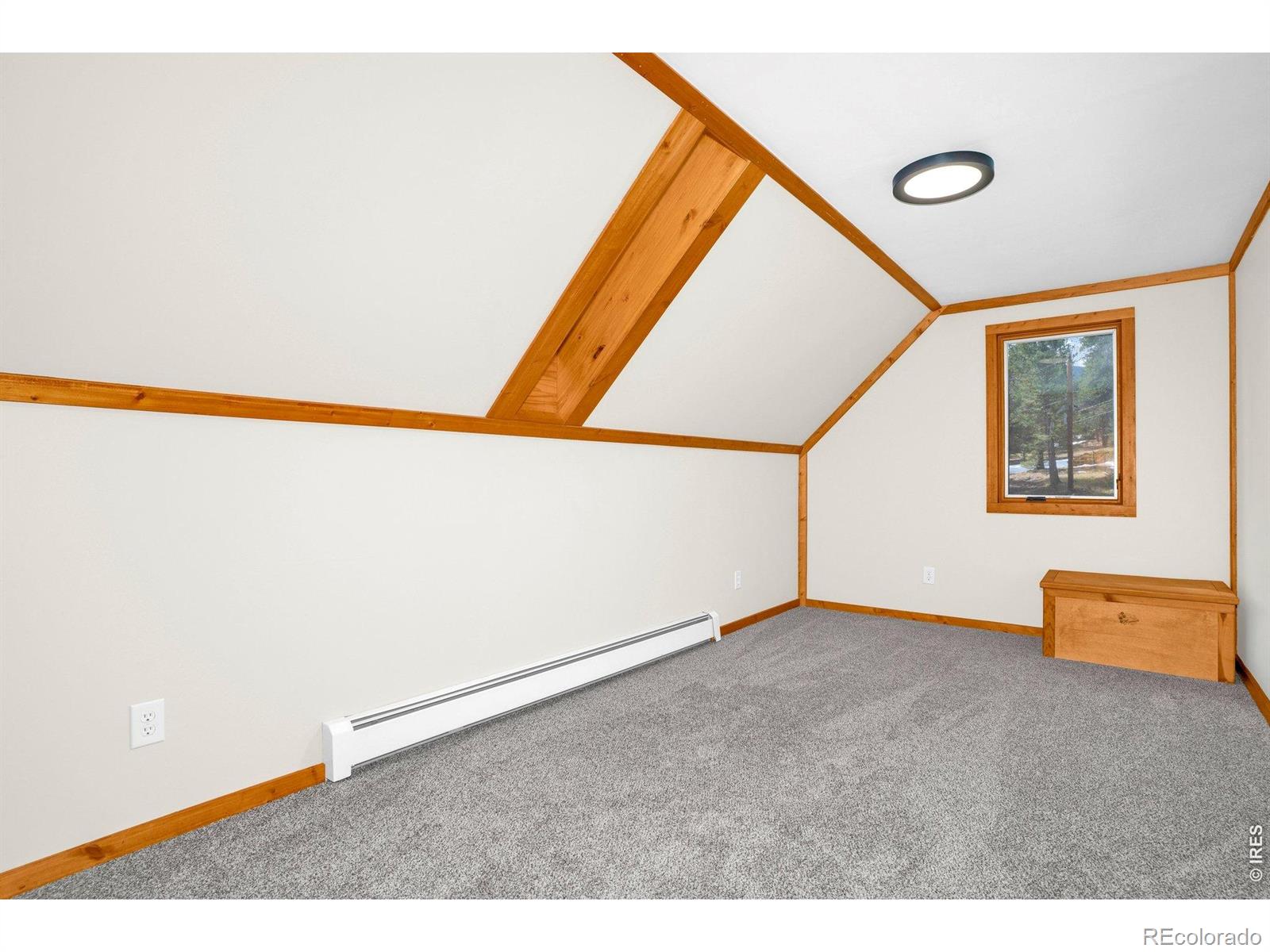 MLS Image #23 for 251  haugen slide road,allenspark, Colorado