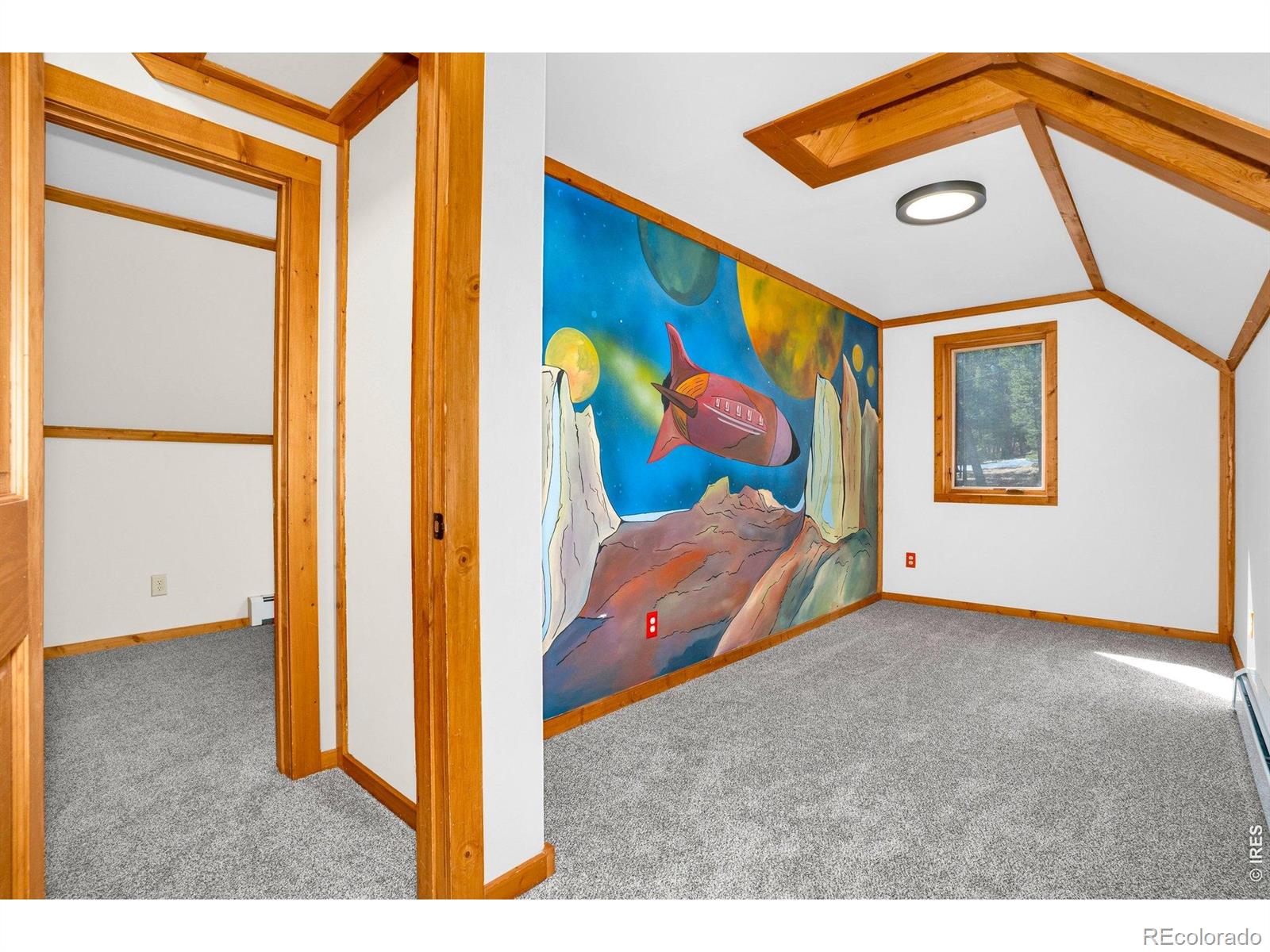 MLS Image #24 for 251  haugen slide road,allenspark, Colorado