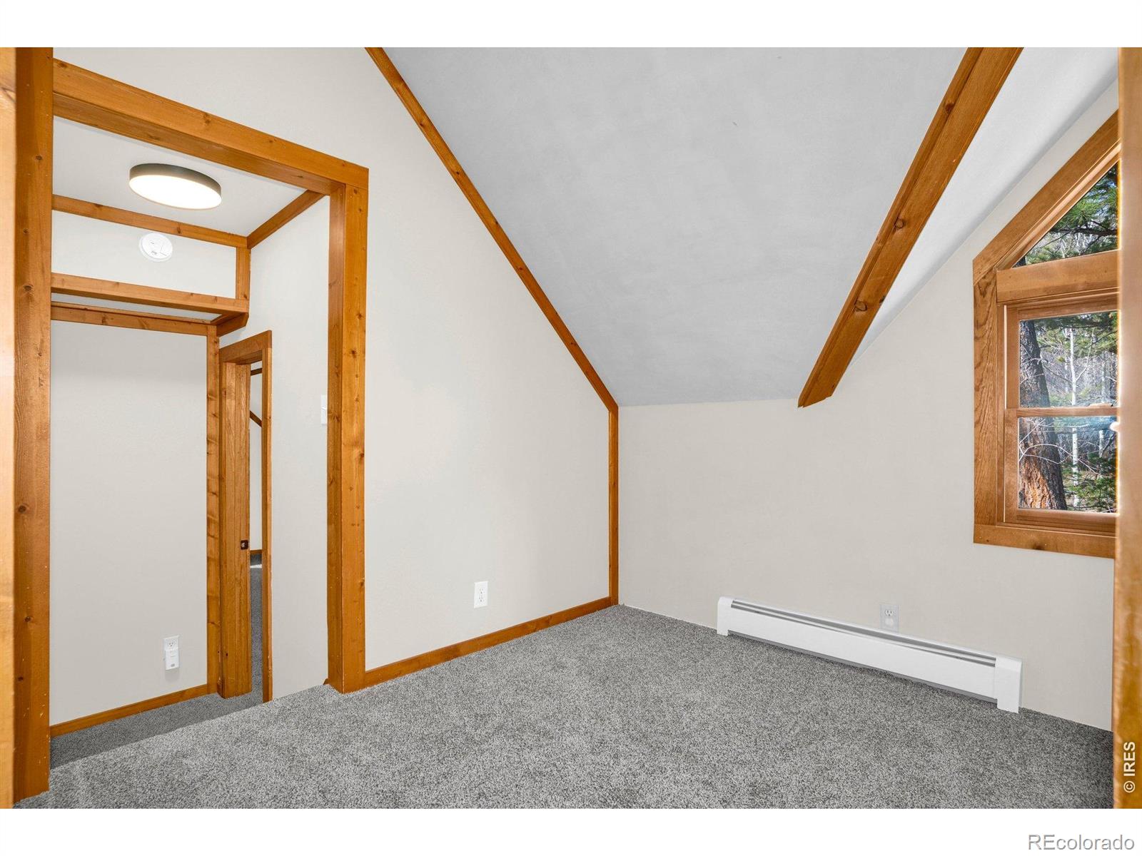 MLS Image #25 for 251  haugen slide road,allenspark, Colorado