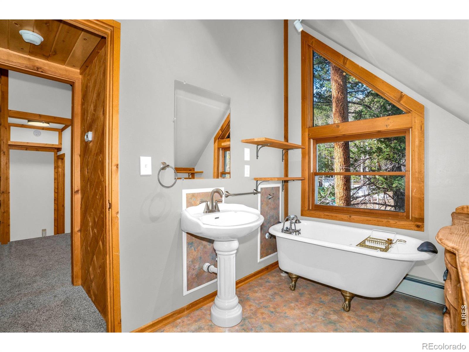 MLS Image #38 for 251  haugen slide road,allenspark, Colorado