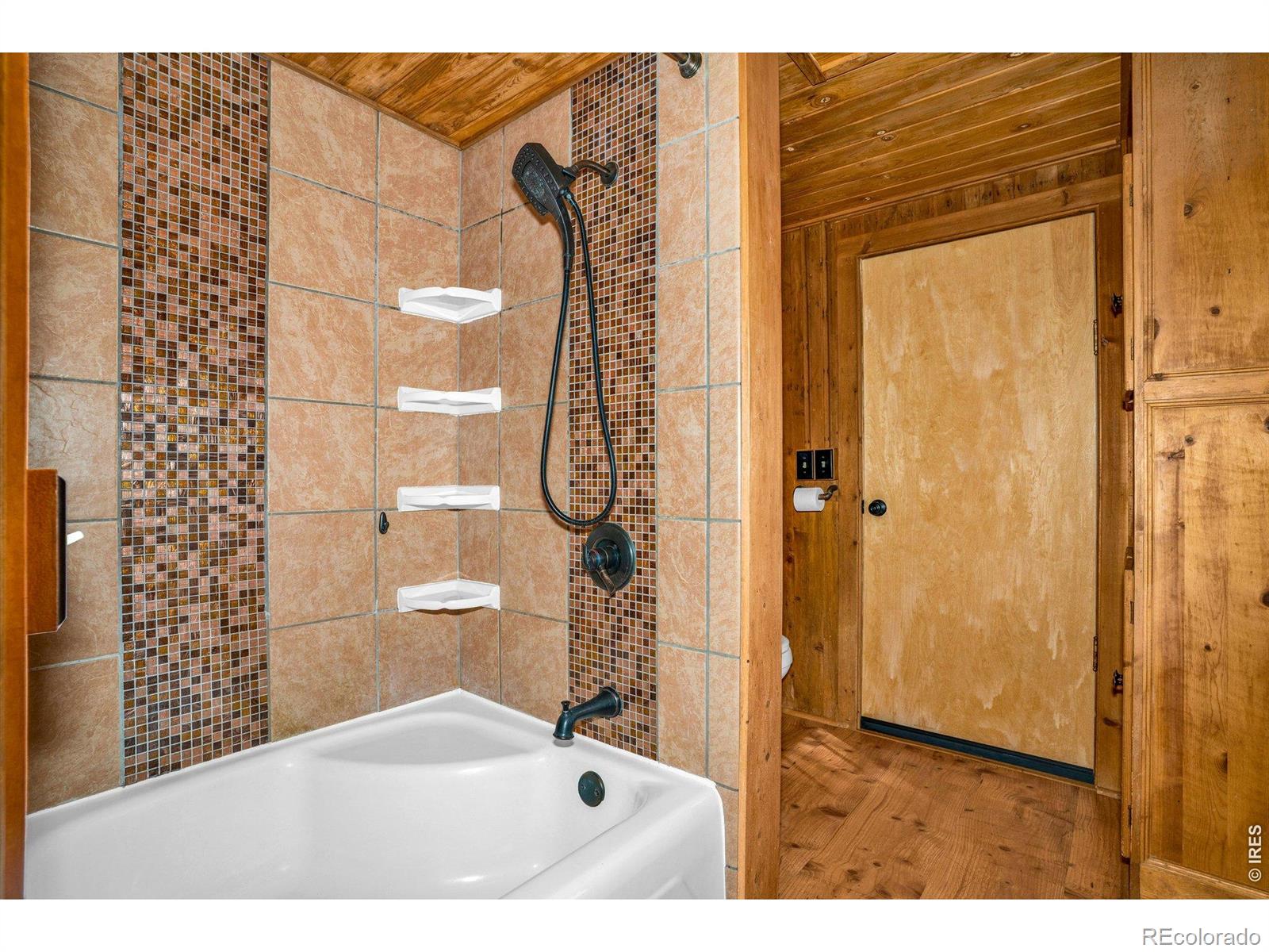MLS Image #40 for 251  haugen slide road,allenspark, Colorado