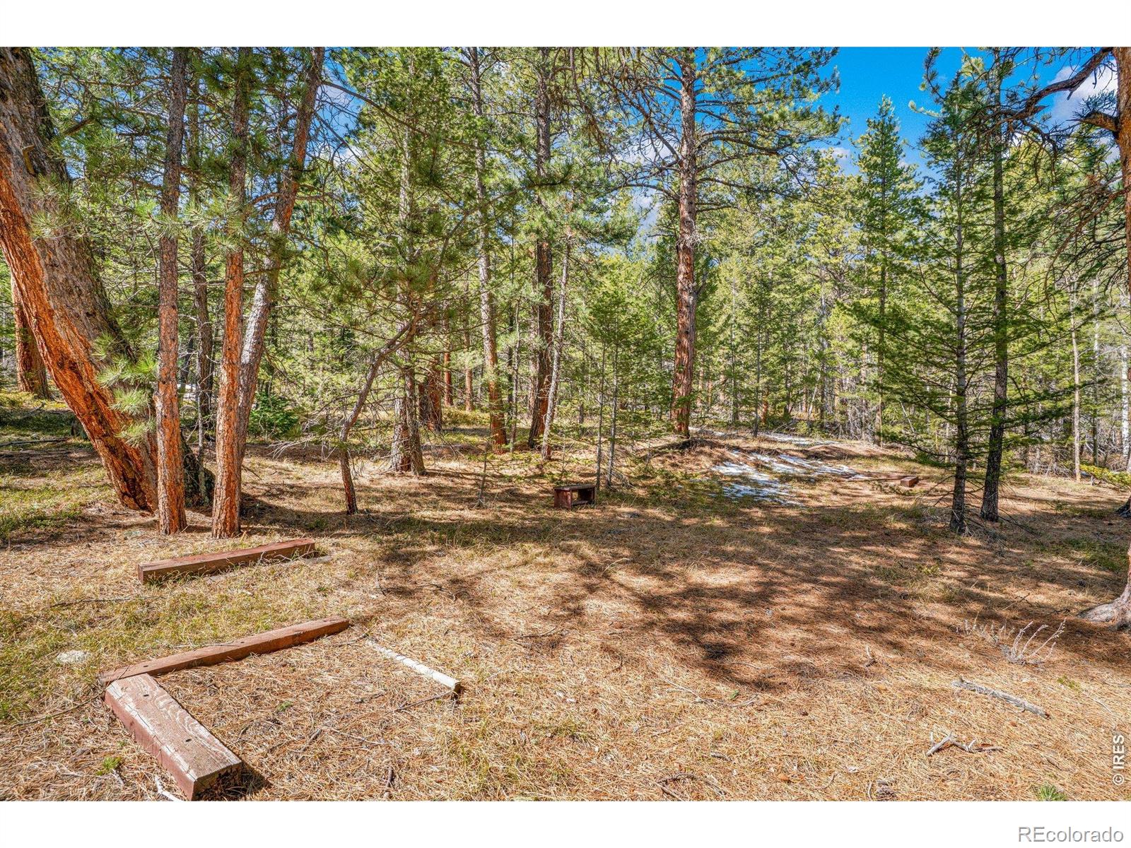 MLS Image #41 for 251  haugen slide road,allenspark, Colorado