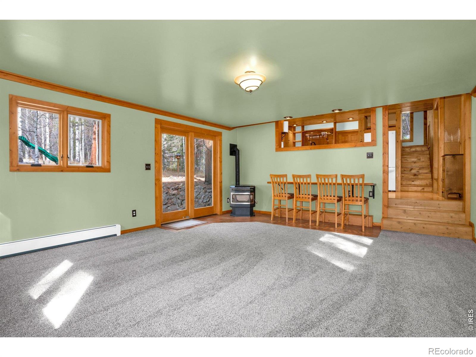 MLS Image #5 for 251  haugen slide road,allenspark, Colorado