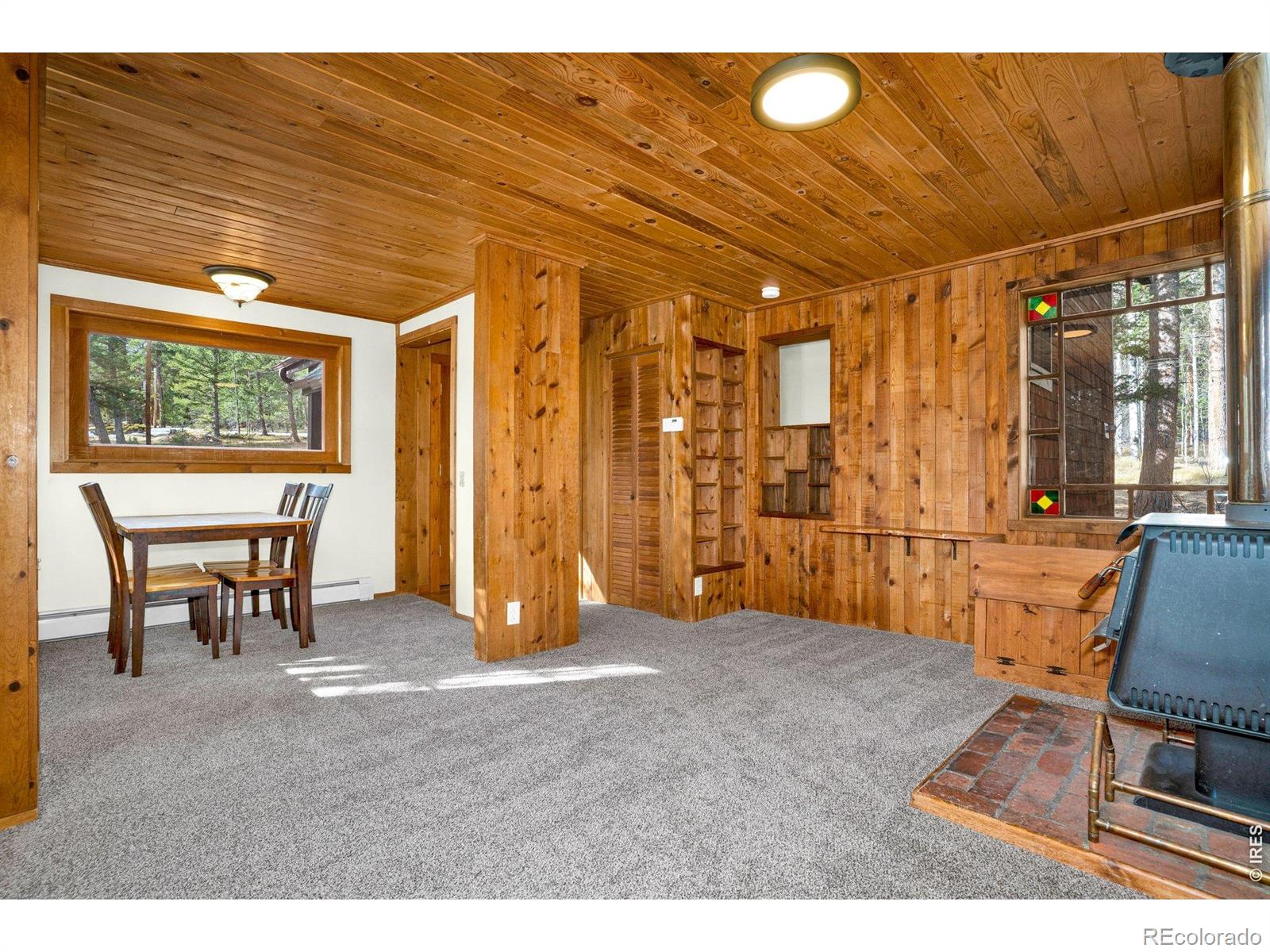 MLS Image #6 for 251  haugen slide road,allenspark, Colorado