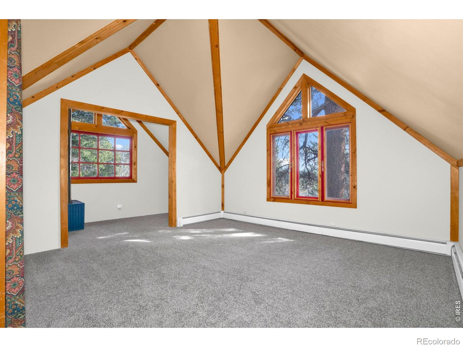 MLS Image #7 for 251  haugen slide road,allenspark, Colorado