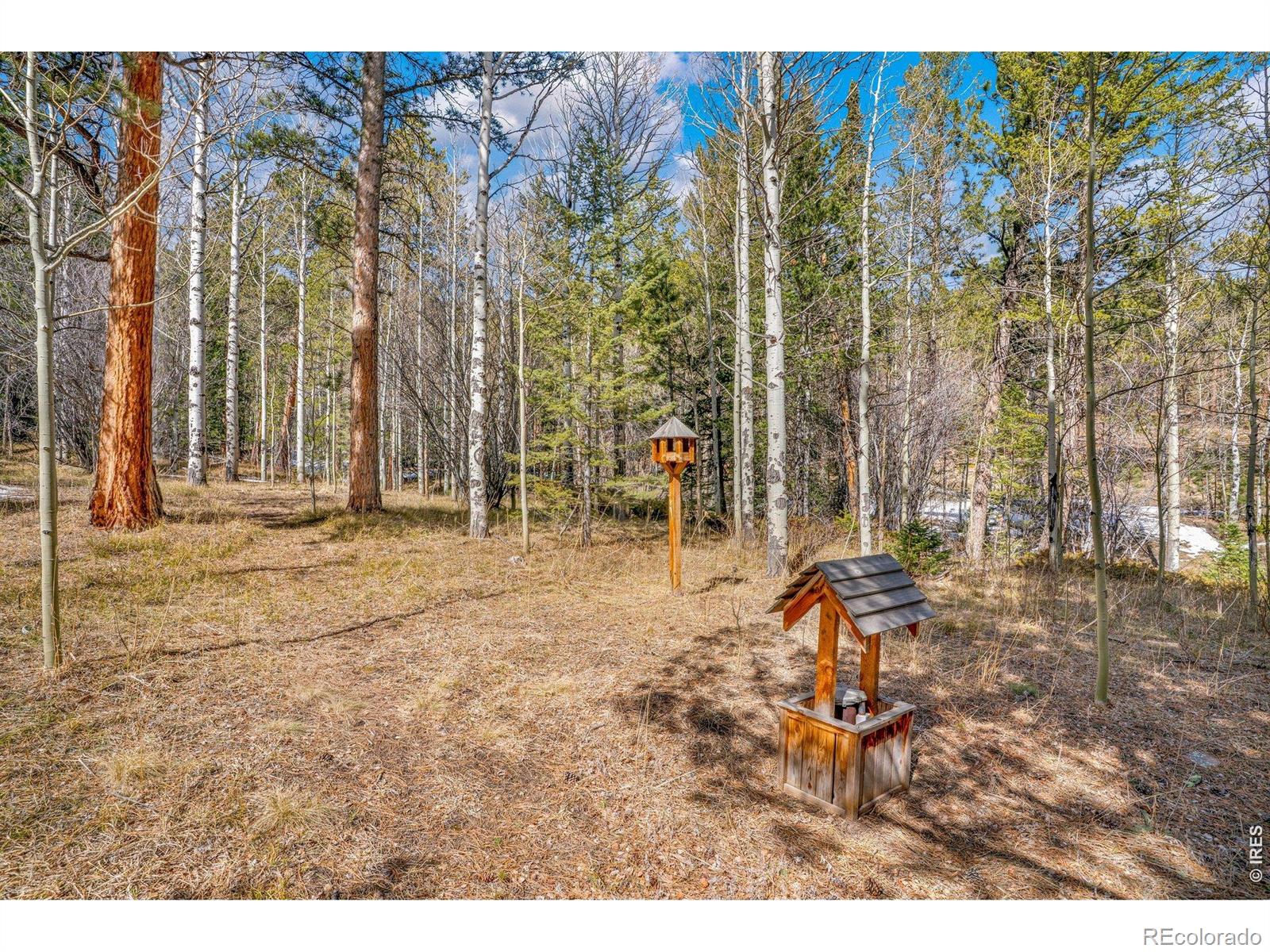 MLS Image #9 for 251  haugen slide road,allenspark, Colorado