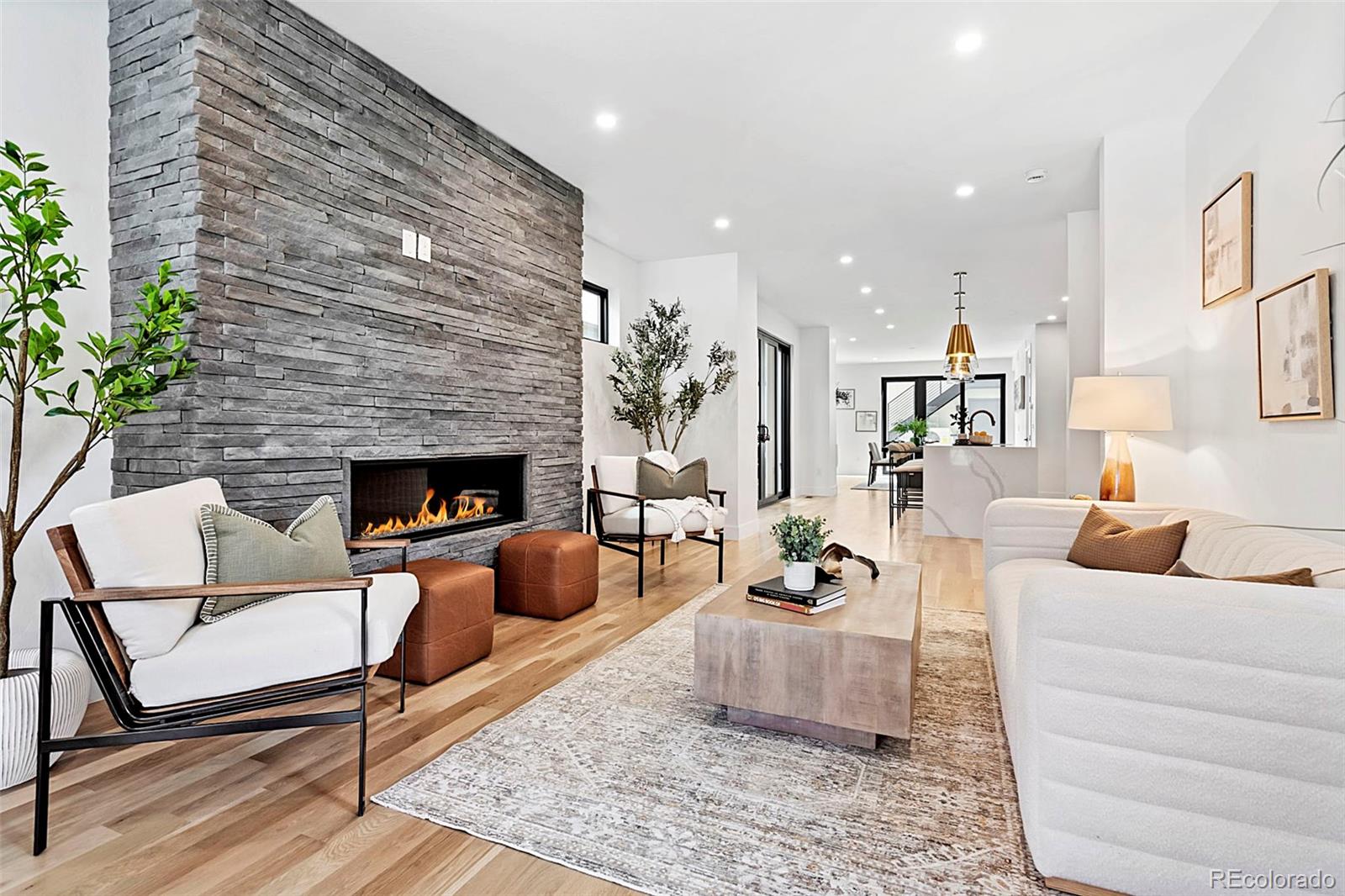 MLS Image #3 for 3240 n franklin street,denver, Colorado