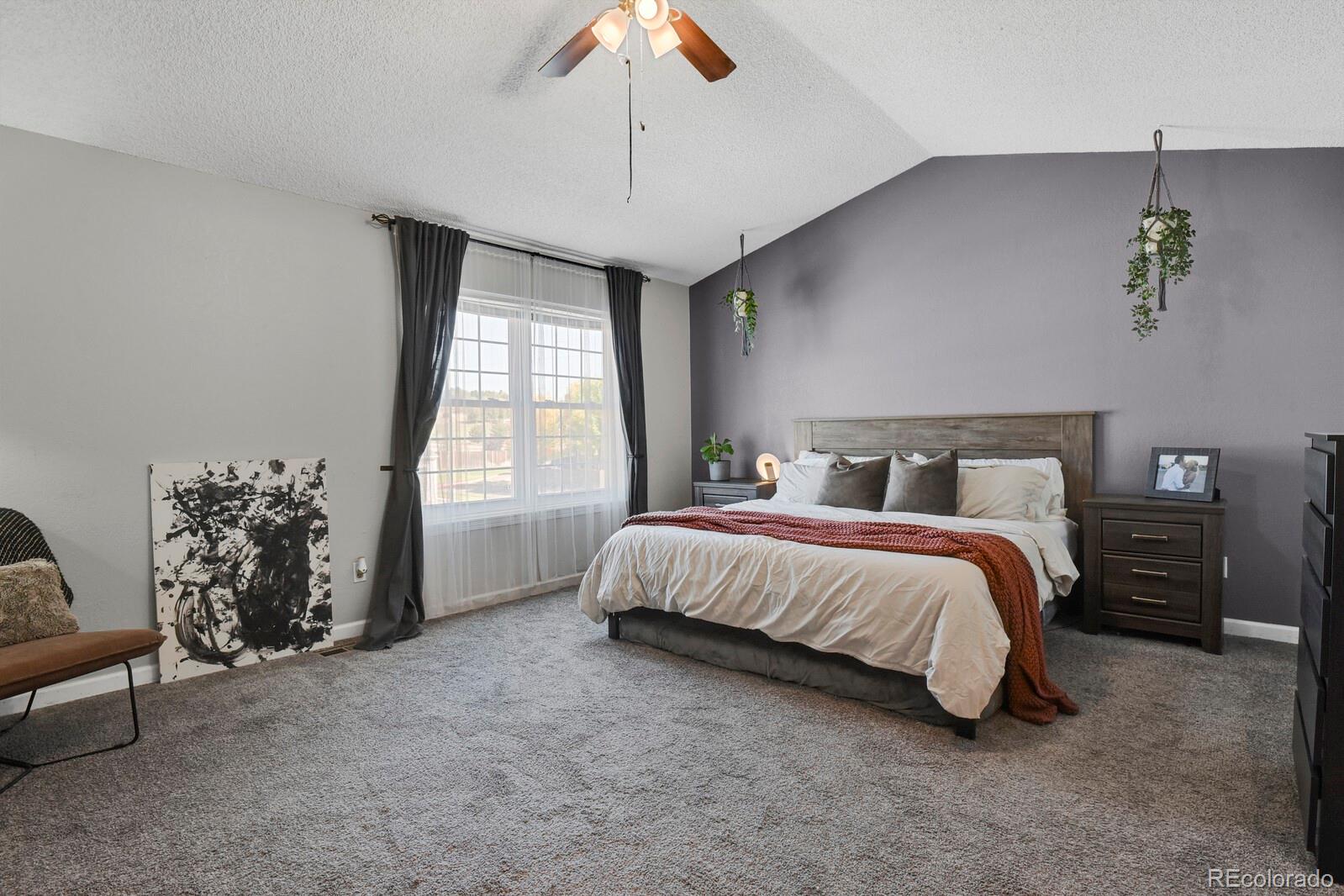 MLS Image #20 for 20012  briarwood court,parker, Colorado