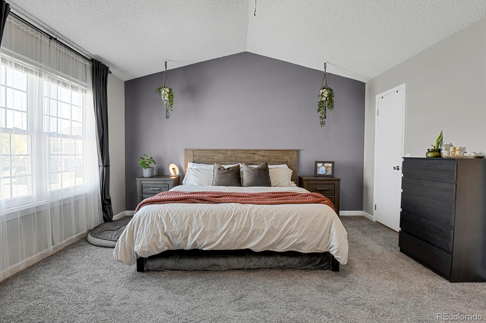 MLS Image #21 for 20012  briarwood court,parker, Colorado