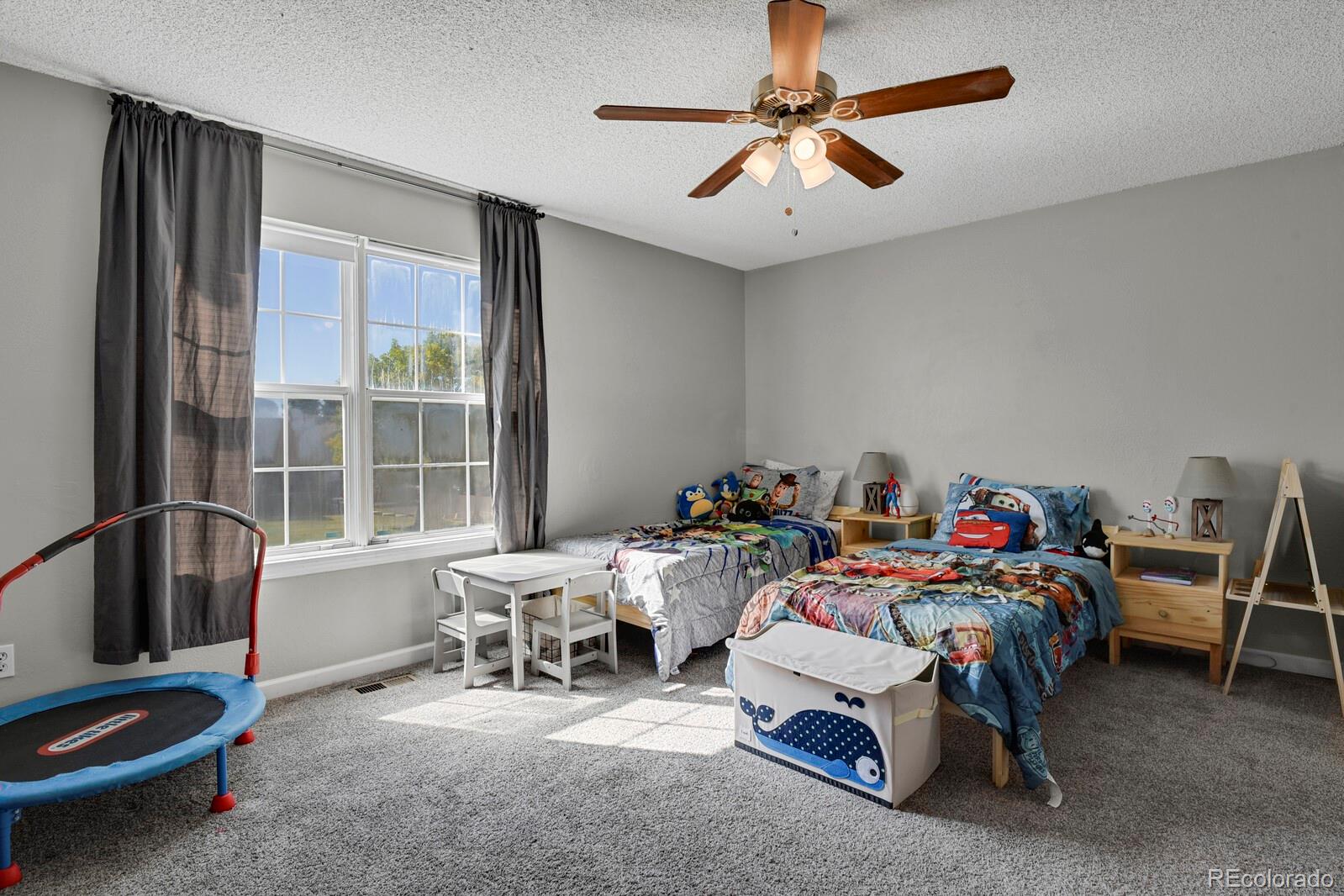 MLS Image #25 for 20012  briarwood court,parker, Colorado