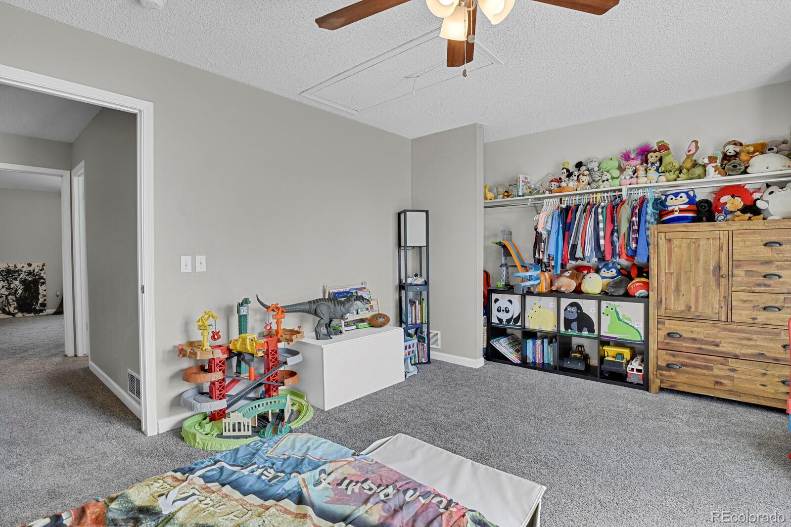 MLS Image #26 for 20012  briarwood court,parker, Colorado
