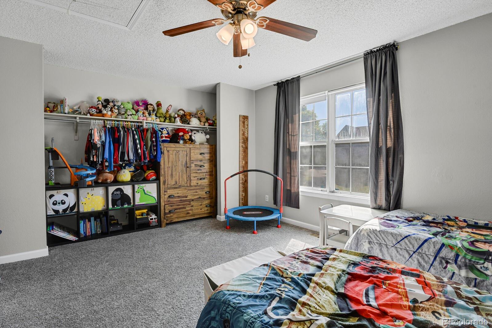 MLS Image #27 for 20012  briarwood court,parker, Colorado