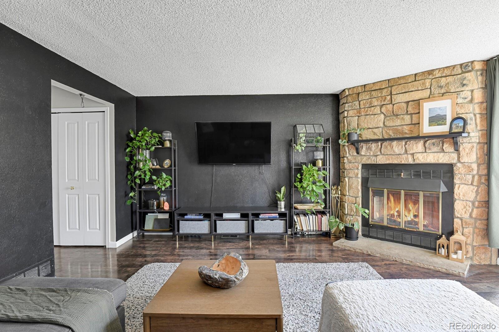 MLS Image #6 for 20012  briarwood court,parker, Colorado