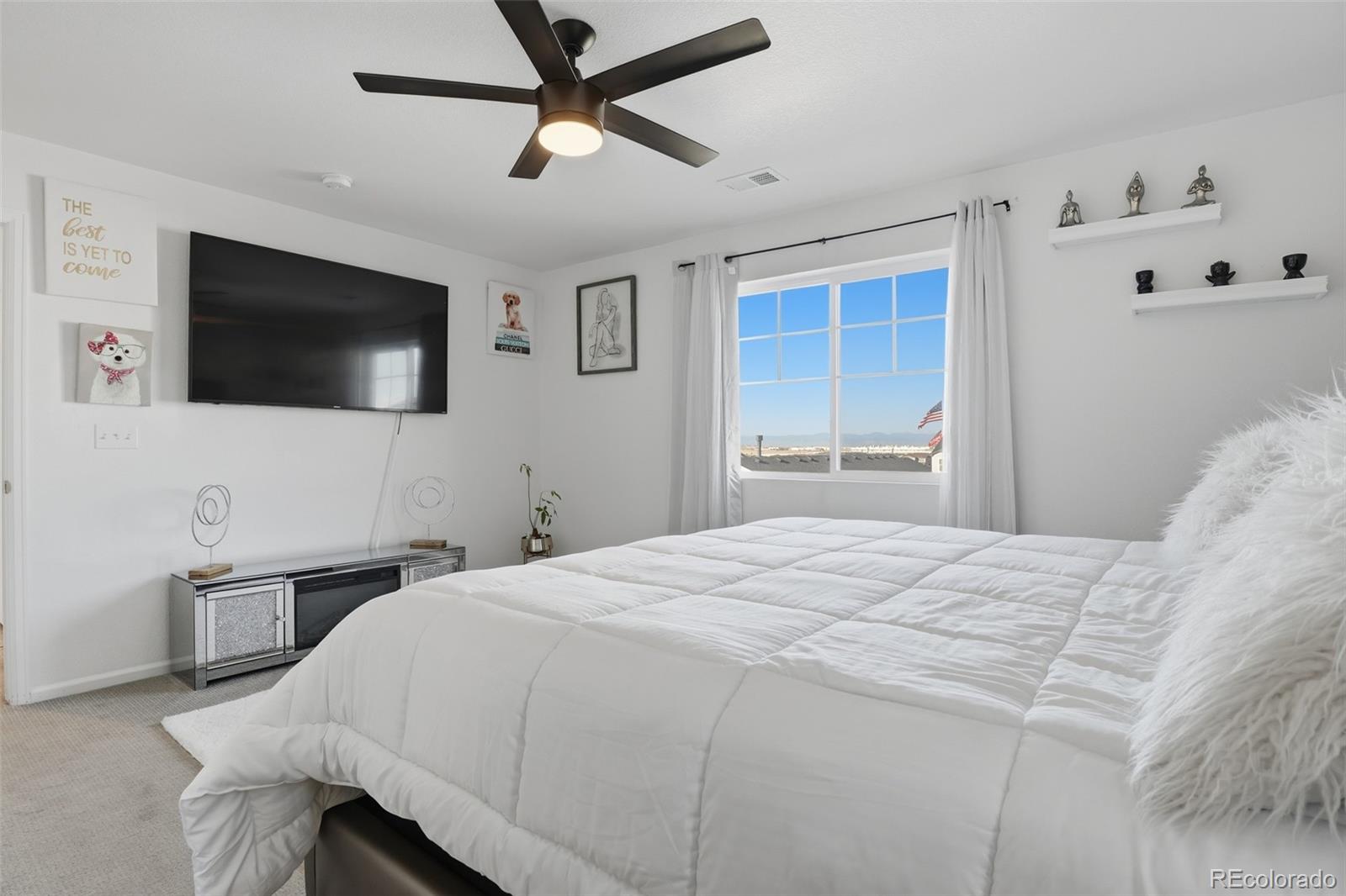 MLS Image #27 for 3963  flat rock street,aurora, Colorado