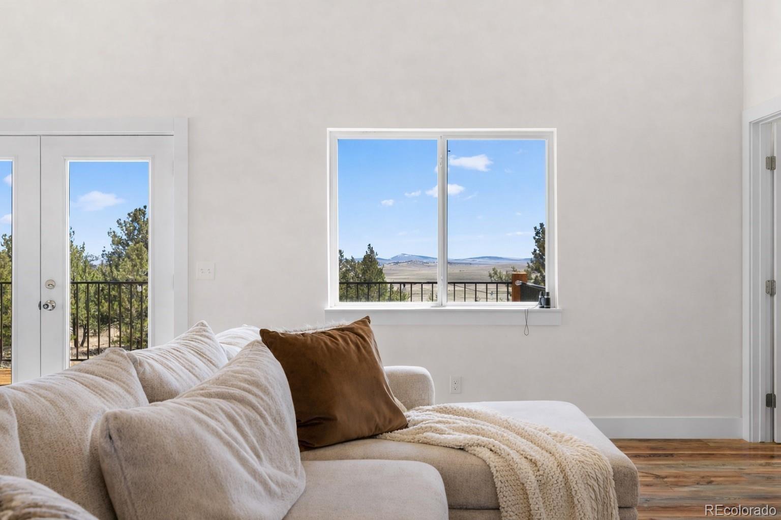MLS Image #3 for 431  rudisill street,fairplay, Colorado
