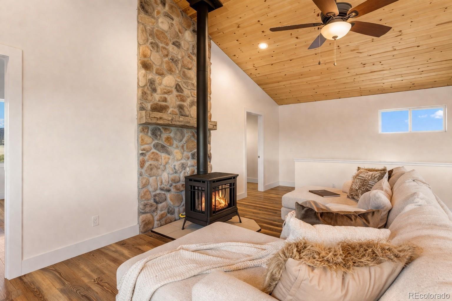 MLS Image #4 for 431  rudisill street,fairplay, Colorado