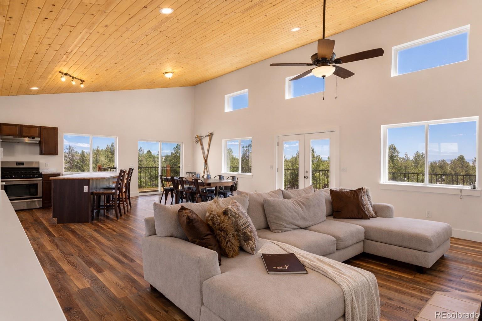 MLS Image #7 for 431  rudisill street,fairplay, Colorado