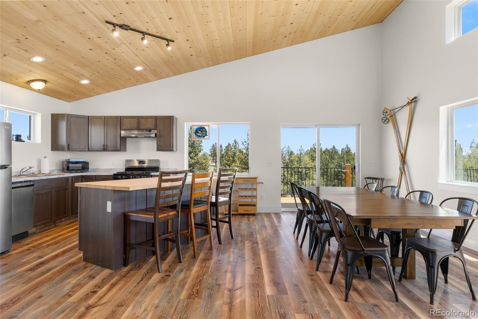 MLS Image #8 for 431  rudisill street,fairplay, Colorado