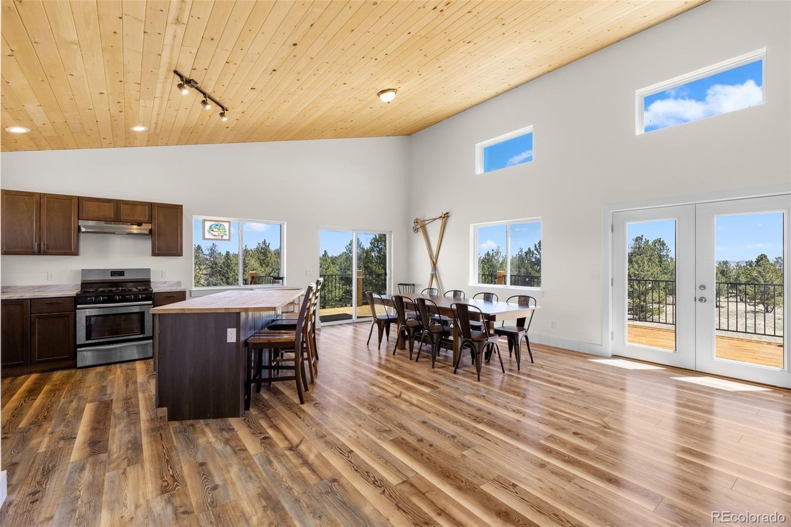 MLS Image #9 for 431  rudisill street,fairplay, Colorado