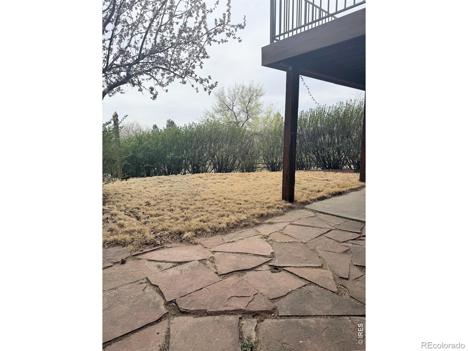 MLS Image #37 for 1605  sunnyside drive,loveland, Colorado