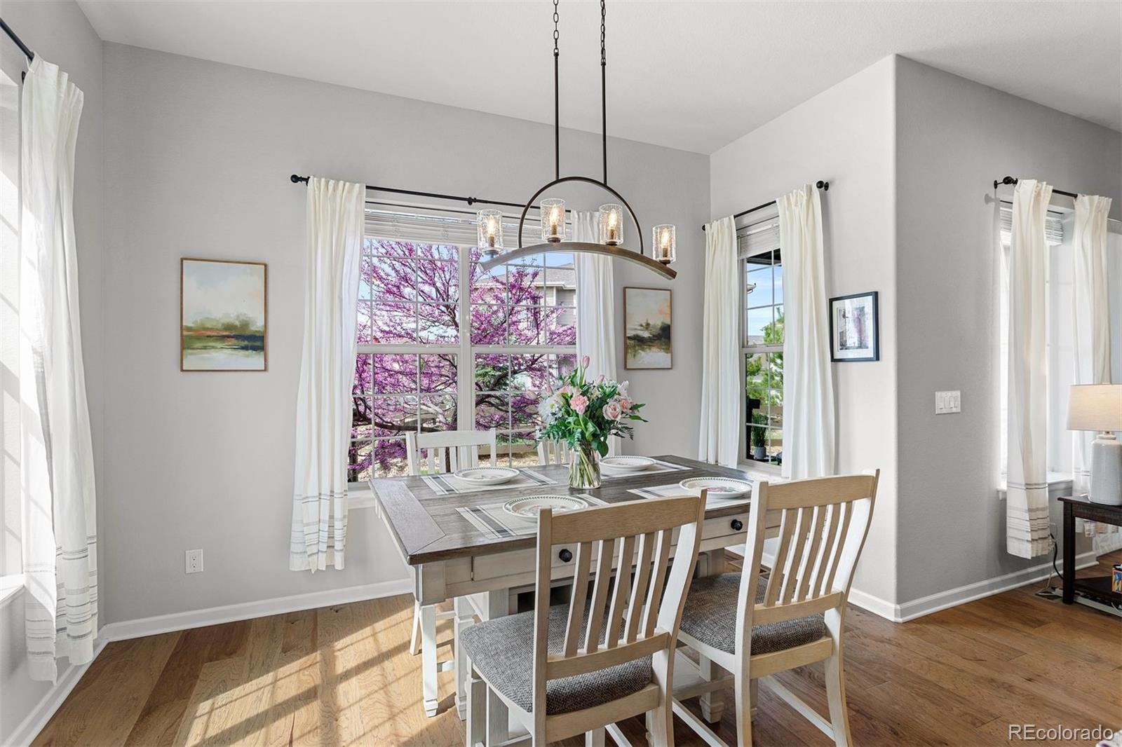MLS Image #3 for 11887  discovery circle,parker, Colorado