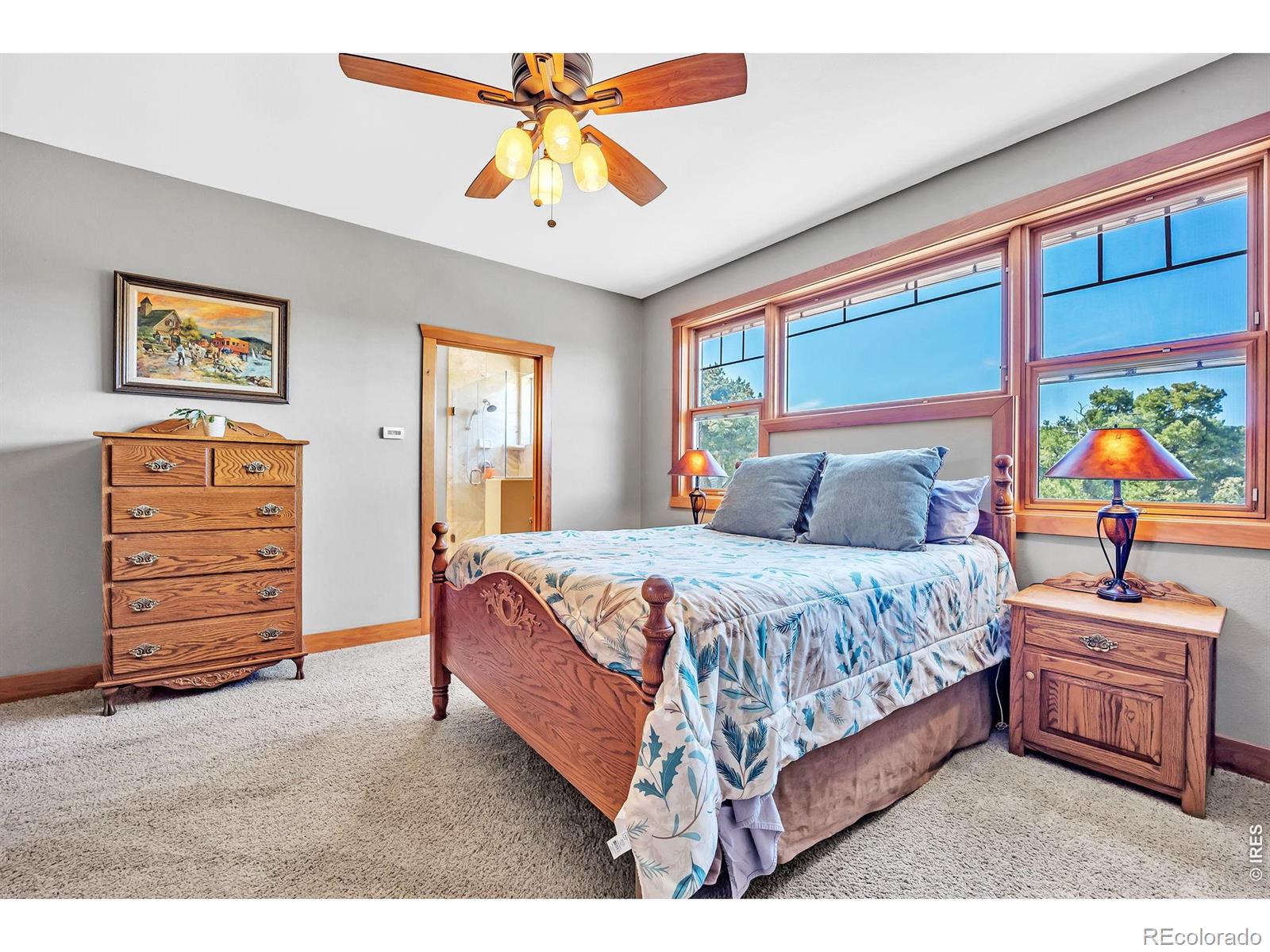MLS Image #17 for 3237  romnes road,fort garland, Colorado