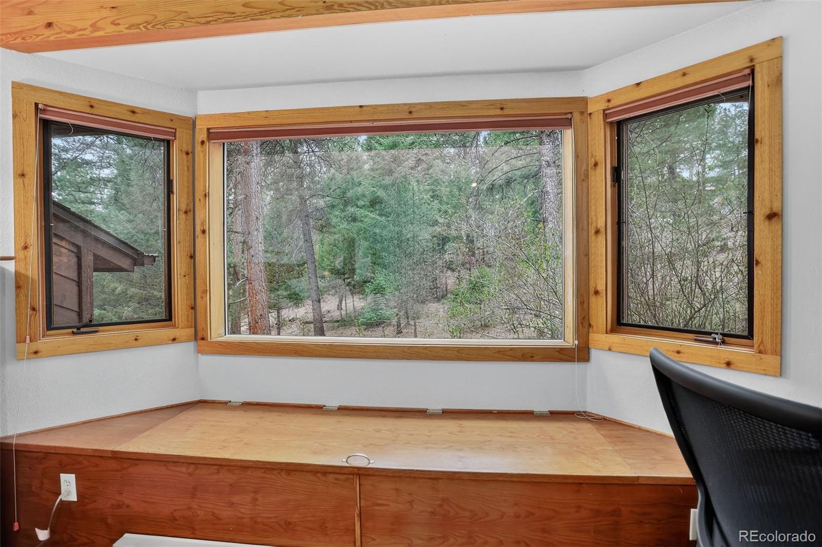 MLS Image #20 for 6343  betty lane,evergreen, Colorado