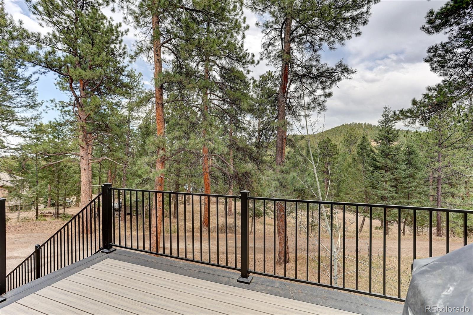 MLS Image #29 for 6343  betty lane,evergreen, Colorado