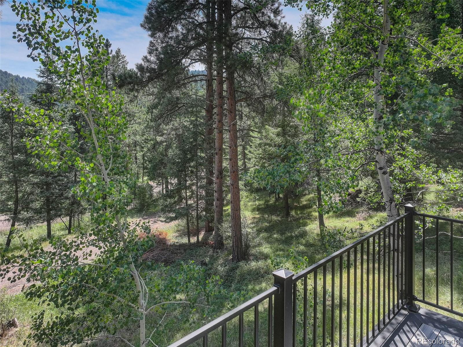 MLS Image #3 for 6343  betty lane,evergreen, Colorado