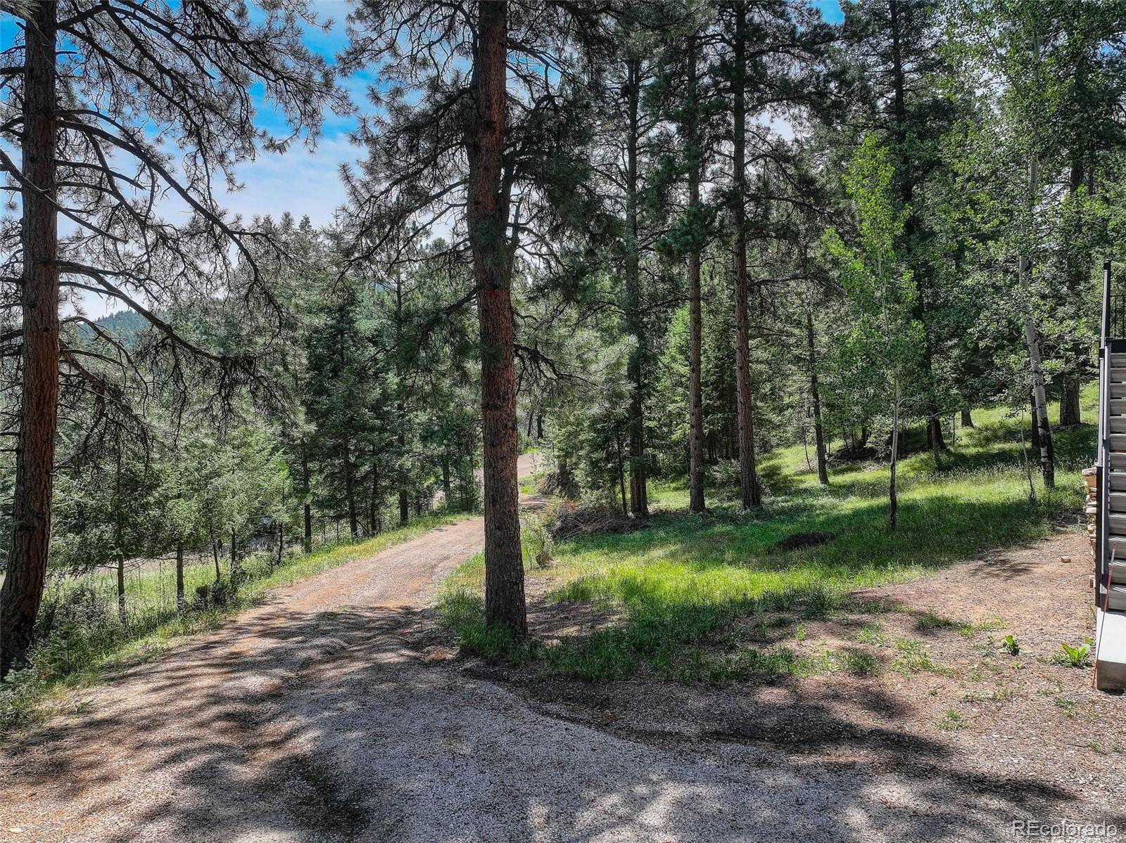 MLS Image #30 for 6343  betty lane,evergreen, Colorado