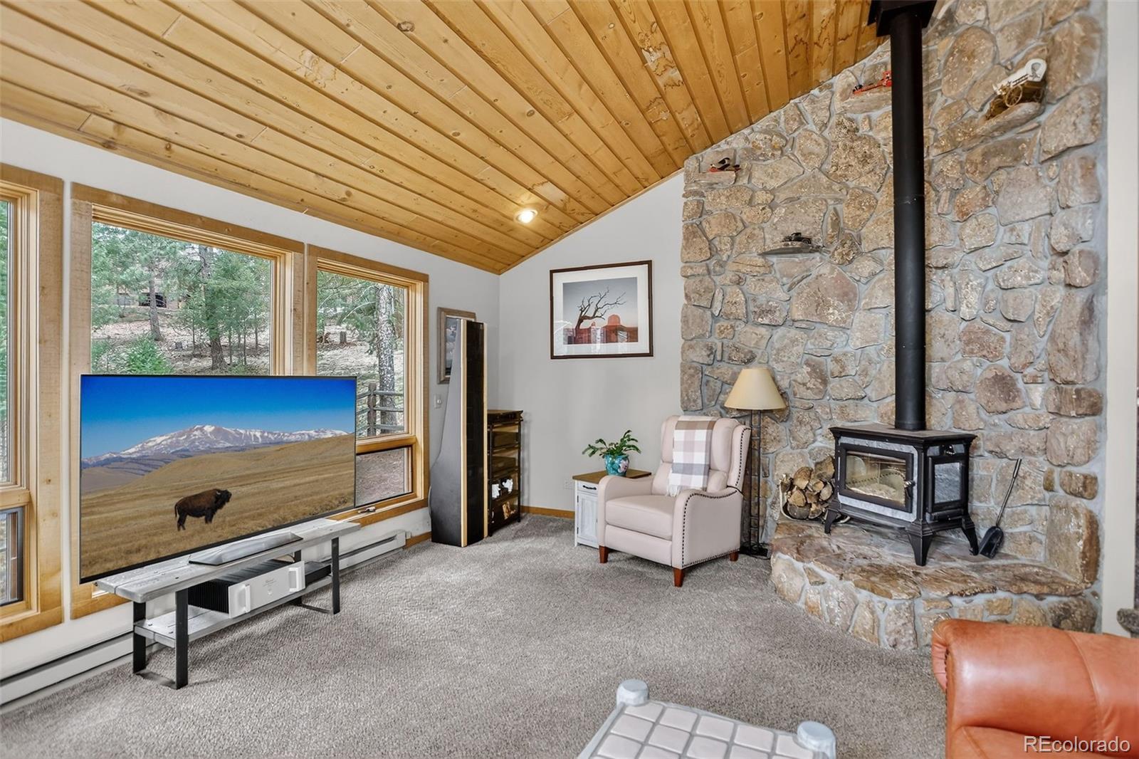 MLS Image #7 for 6343  betty lane,evergreen, Colorado