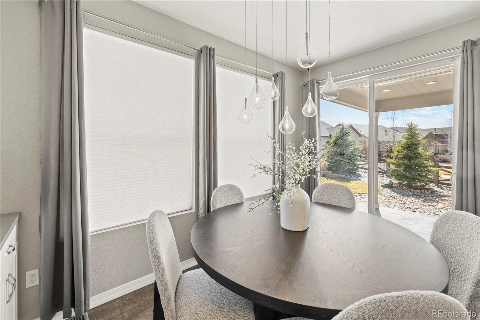 MLS Image #10 for 8566  crooked branch lane,colorado springs, Colorado