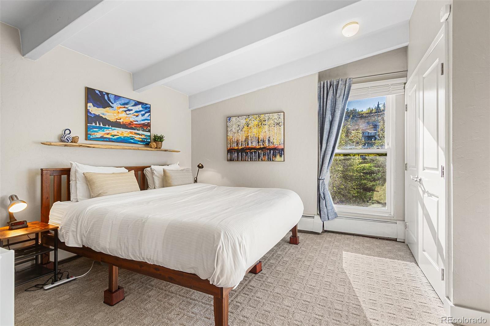 MLS Image #28 for 612  tenderfoot street,dillon, Colorado