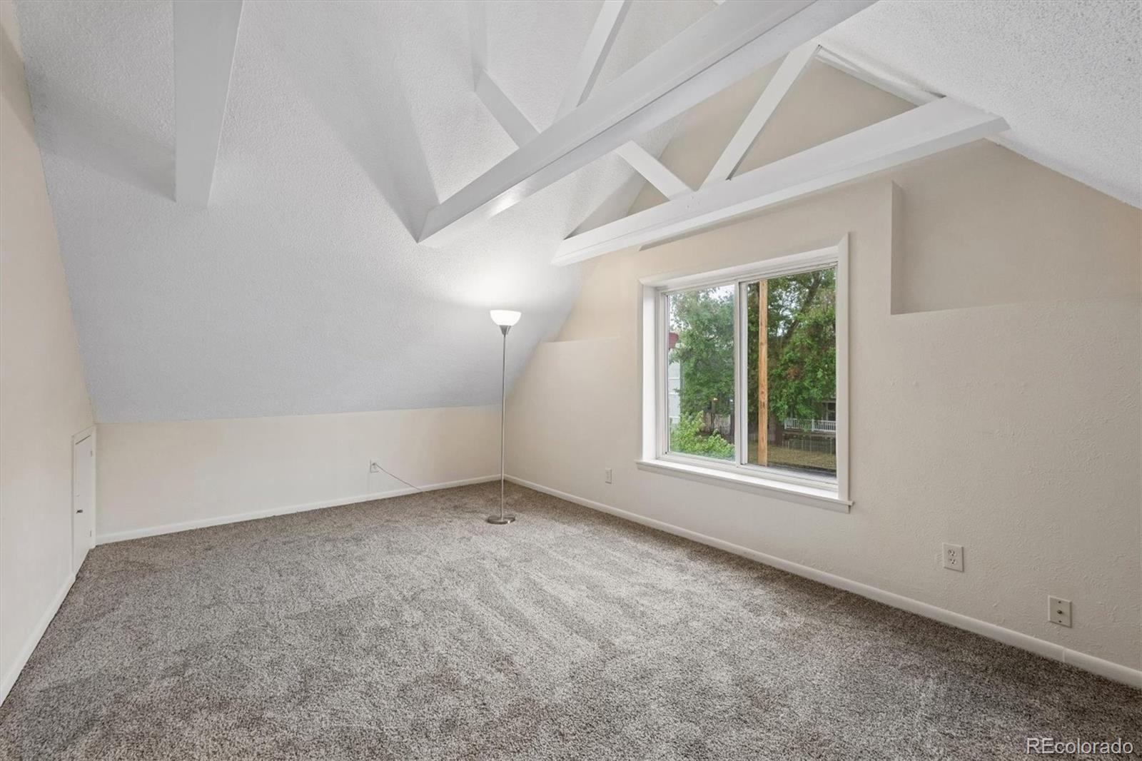 MLS Image #20 for 2747  stout street,denver, Colorado