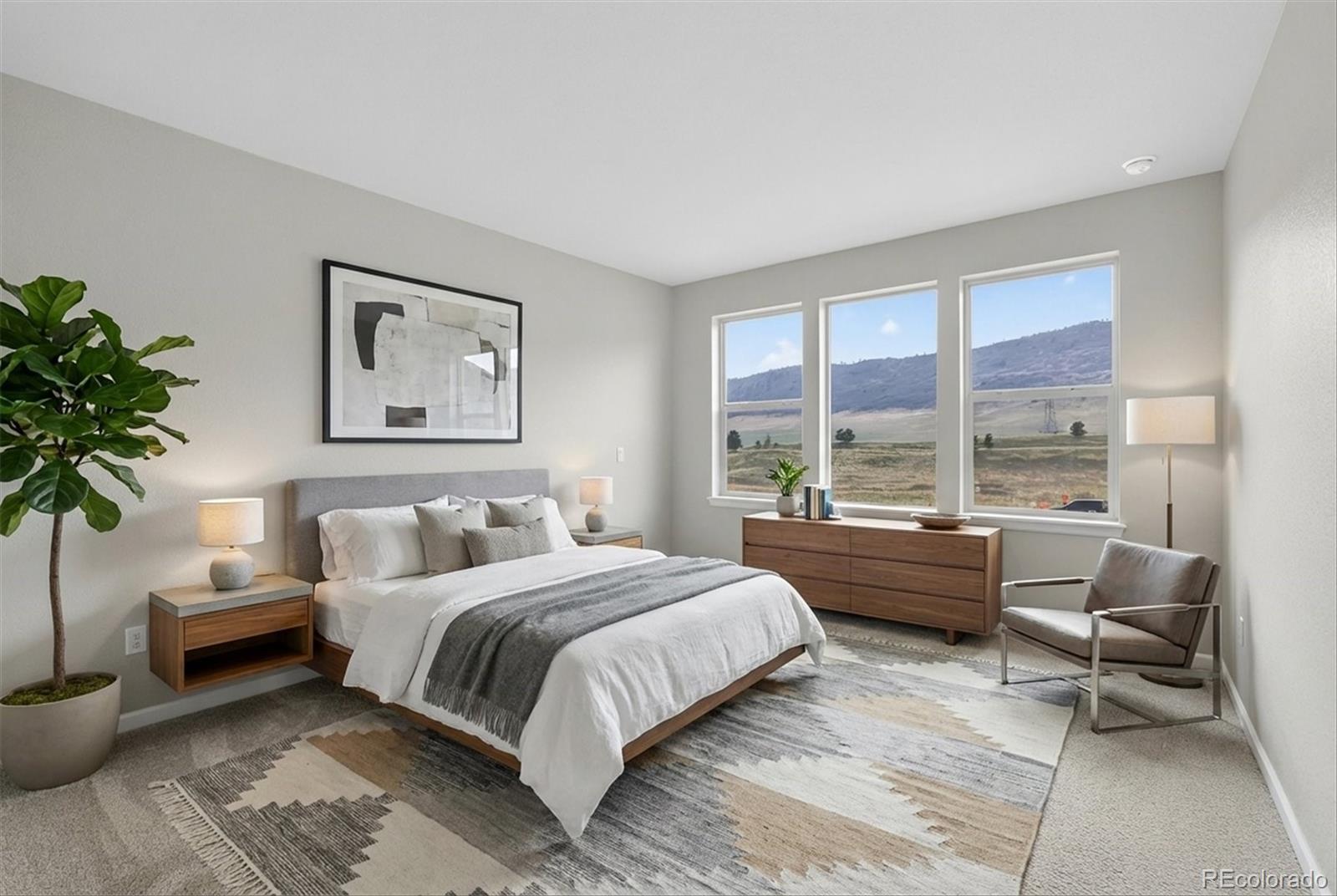MLS Image #13 for 11851  canyon avenue,littleton, Colorado