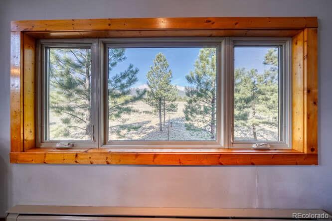 MLS Image #24 for 13940  county road 261f ,nathrop, Colorado