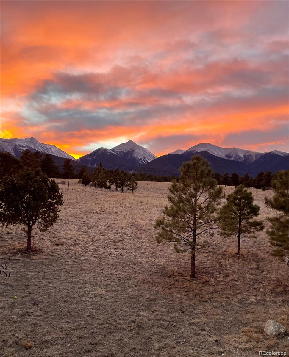 MLS Image #3 for 13940  county road 261f ,nathrop, Colorado