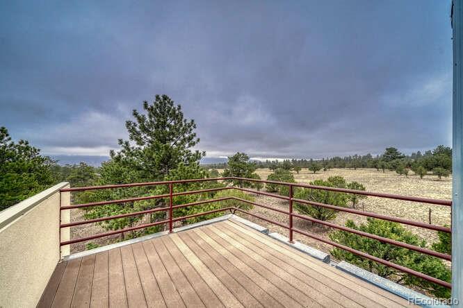 MLS Image #32 for 13940  county road 261f ,nathrop, Colorado